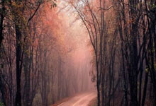 [CBA]赵继伟运球过半场 借掩护三分空心入网.