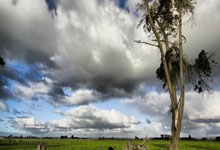 狗子28:英超-帕尔默双响 进球大战切尔西4-3热刺.