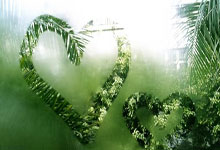 狗子28:2-1,25岁曼联弃将险轰世界波+妙传遭浪费,现场视角还原,太可惜.