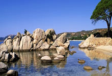 狗子28:福伊特:尽管与皇马比赛会非常艰难,但与这些顶级球员交手太棒了.